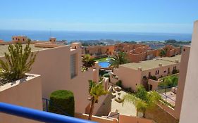 Atalaya Graceful